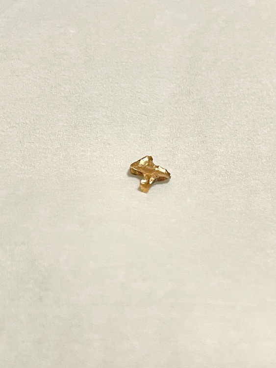 金歯（金・貴金属）の商品画像 - 査定依頼日：2025年9月16日 - 最高査定価格：10,000円