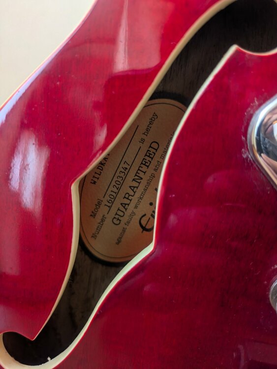 Epiphone　WildKat（ピアノ・楽器・PA機材）の商品画像 - 査定依頼日：2026年6月23日 - 最高査定価格：20,000円