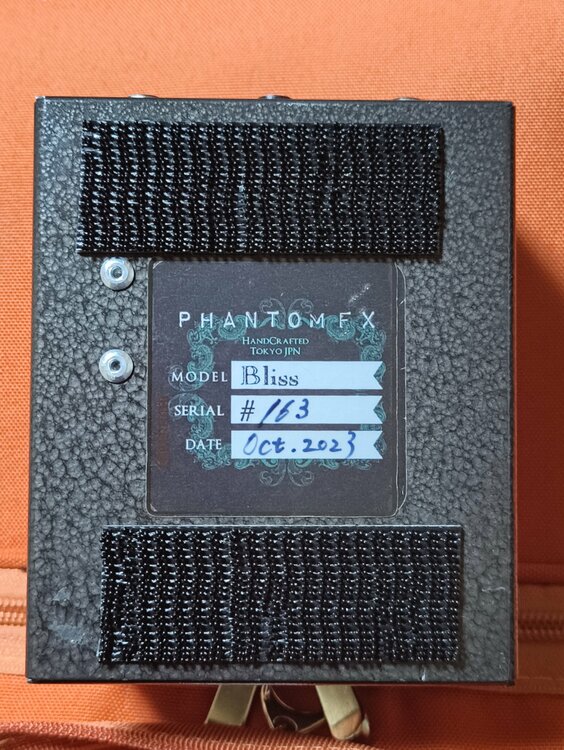 Phantom fx Sabbath “Bliss”【受注生産】（ピアノ・楽器・PA機材）の商品画像 - 査定依頼日：2026年3月10日 - 最高査定価格：30,000円