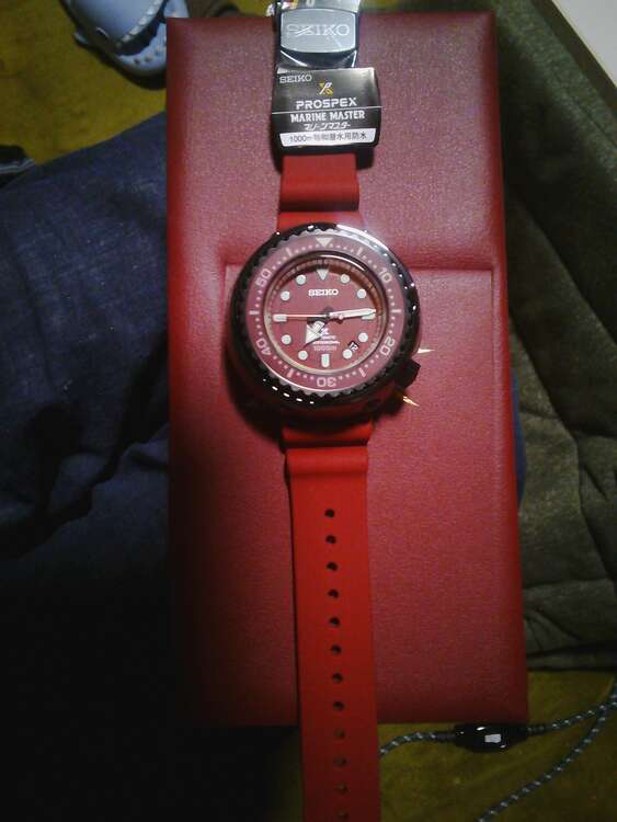 セイコー プロスペックス SBDX029（高級時計）の商品画像 - 査定依頼日：2025年4月10日 - 最高査定価格：250,000円