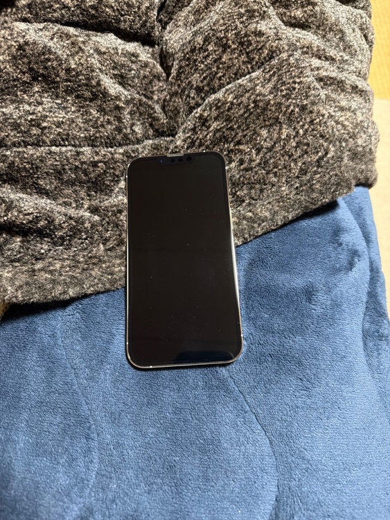 iPhone 13 Pro 256GB SIMフリー（スマホ）の商品画像 - 査定依頼日：2026年4月12日 - 最高査定価格：49,000円