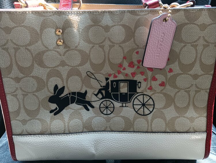 その他 コーチ （ブランドバッグ）の商品画像 - 査定依頼日：2026年3月17日 - 最高査定価格：4,500円