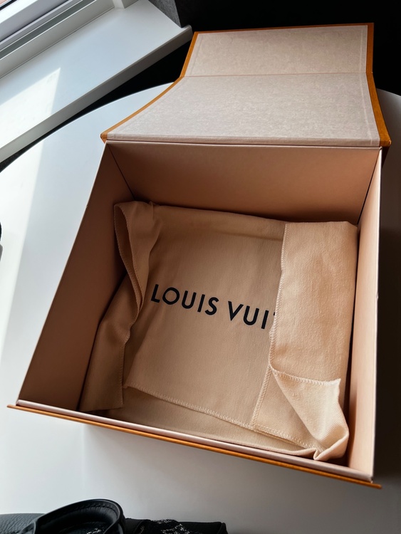 ルイヴィトン ルイヴィトン(その他) （ブランドバッグ）の商品画像 - 査定依頼日：2026年1月25日 - 最高査定価格：270,000円