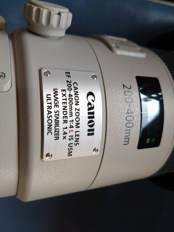EF200-400mm F4L IS USM エクステンダー 1.4×（カメラ）の商品画像 - 査定依頼日：2026年7月27日 - 最高査定価格：460,000円