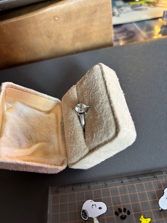 一粒タテヅメリング（宝石）の商品画像 - 査定依頼日：2026年1月16日 - 最高査定価格：600,000円