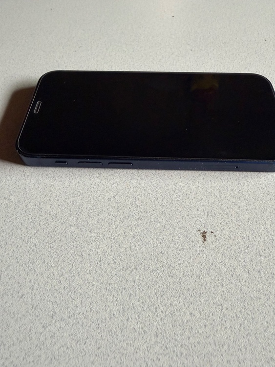 iPhone iPhone 12 mini 64GB au（スマホ）の商品画像 - 査定依頼日：2026年6月27日 - 最高査定価格：14,000円