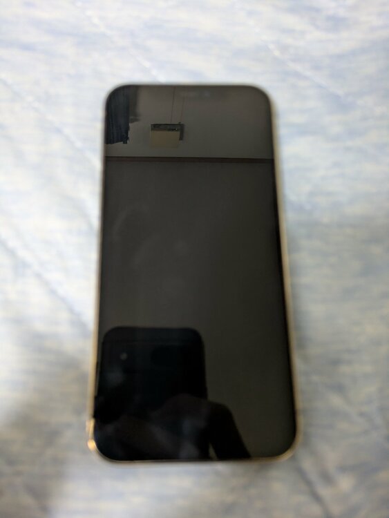 iPhone 12 Pro 256GB docomo（スマホ）の商品画像 - 査定依頼日：2026年1月28日 - 最高査定価格：31,000円