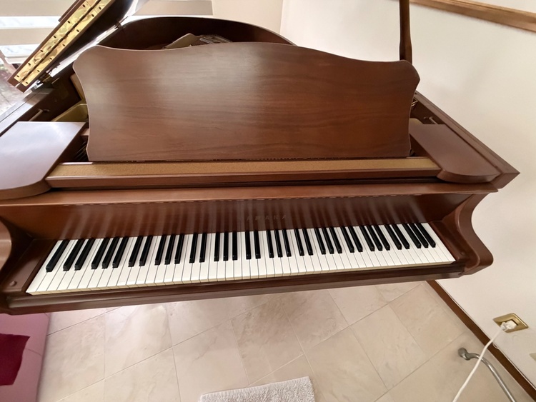 G3   E3750654（ピアノ・楽器・PA機材）の商品画像 - 査定依頼日：2026年3月18日 - 最高査定価格：200,000円