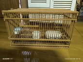 鳥かご（美術品・骨董品）の商品画像 - 査定依頼日：2026年8月8日 - 最高査定価格：2,000円