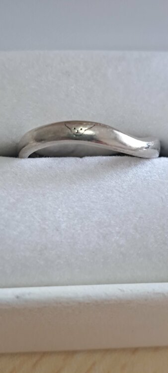 １０k（金・貴金属）の商品画像 - 査定依頼日：2026年1月30日 - 最高査定価格：15,000円