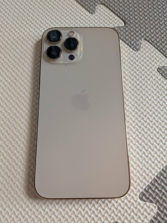 iPhone iPhone 13 Pro Max 256GB Softbank（スマホ）の商品画像 - 査定依頼日：2026年8月18日 - 最高査定価格：30,500円