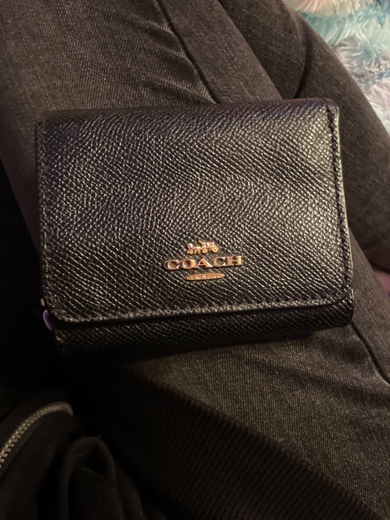 その他 コーチ （ブランドバッグ）の商品画像 - 査定依頼日：2026年3月29日 - 最高査定価格：1,000円