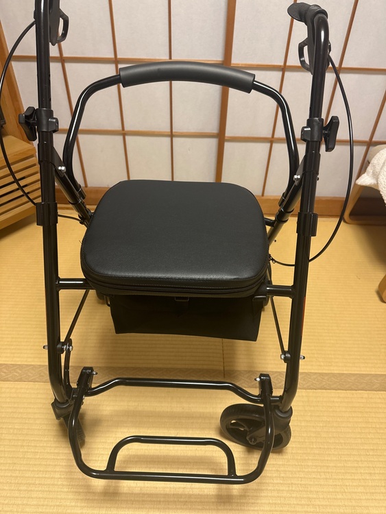 シルバーカーny595（介護用品）の商品画像 - 査定依頼日：2025年7月23日 - 最高査定価格：1,000円