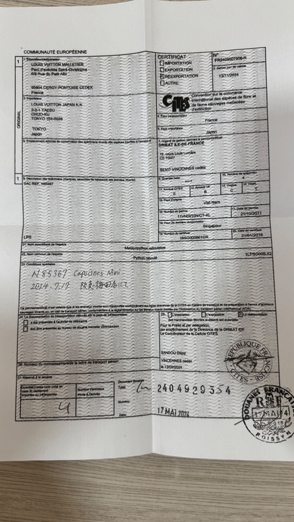 カプシーヌミニ（ブランドバッグ）の商品画像 - 査定依頼日：2026年3月29日 - 最高査定価格：550,000円