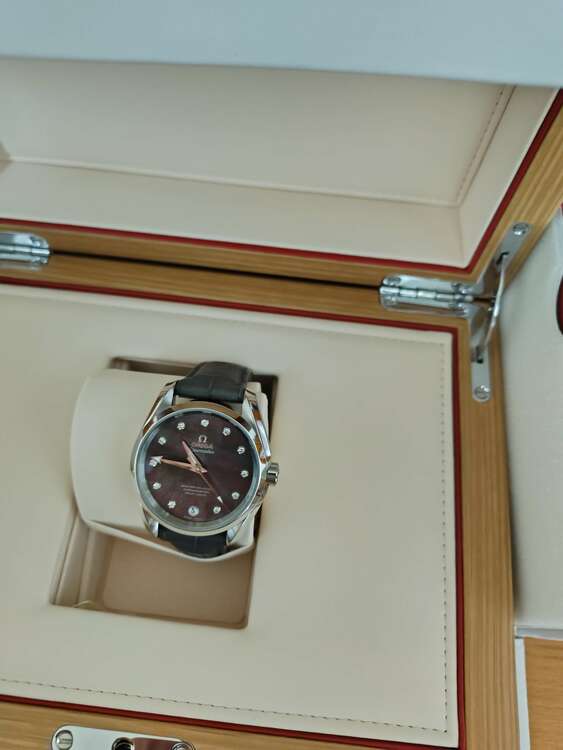 オメガ シーマスター 23113 39 21 57 001（高級時計）の商品画像 - 査定依頼日：2025年4月27日 - 最高査定価格：495,000円