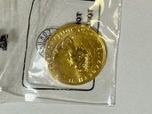 金貨（金・貴金属）の商品画像 - 査定依頼日：2026年7月6日 - 最高査定価格：178,000円