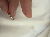 THE KISS（金・貴金属）の商品画像 - 査定依頼日：2025年10月14日 - 最高査定価格：300円