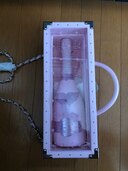 シャンパン シャンパン(その他) 