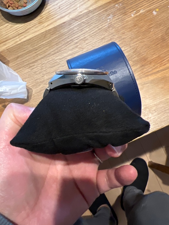 セイコー グランドセイコー SBGA481（高級時計）の商品画像 - 査定依頼日：2026年3月25日 - 最高査定価格：100,000円