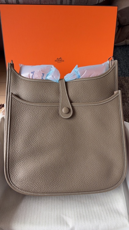 エヴリン（ブランドバッグ）の商品画像 - 査定依頼日：2026年1月27日 - 最高査定価格：550,000円