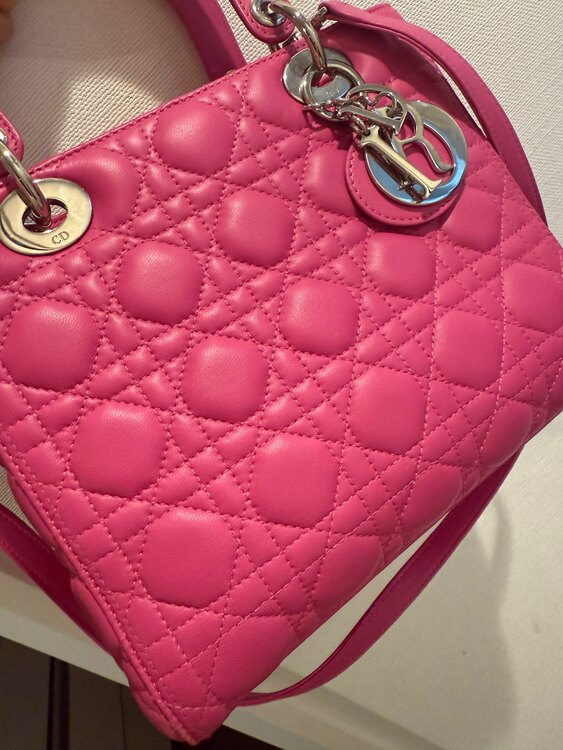 レディディオール（ブランドバッグ）の商品画像 - 査定依頼日：2025年2月23日 - 最高査定価格：110,000円
