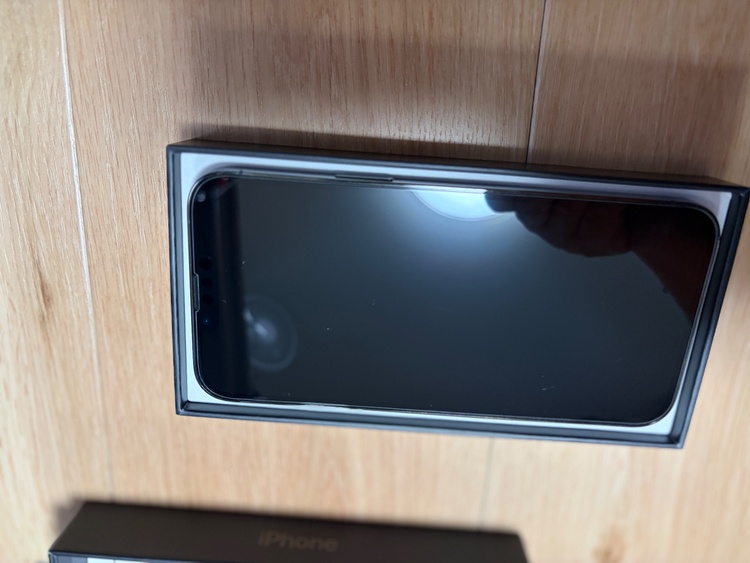 iPhone iPhone 13 Pro Max 256GB SIMフリー（スマホ）の商品画像 - 査定依頼日：2026年9月21日 - 最高査定価格：64,000円