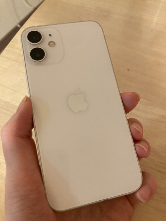 iPhone iPhone 12 mini 64GB 楽天モバイル（スマホ）の商品画像 - 査定依頼日：2026年9月25日 - 最高査定価格：19,000円