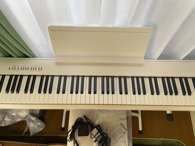 ＦＰ－３０Ｘ（ピアノ・楽器・PA機材）の商品画像 - 査定依頼日：2026年1月18日 - 最高査定価格：15,000円