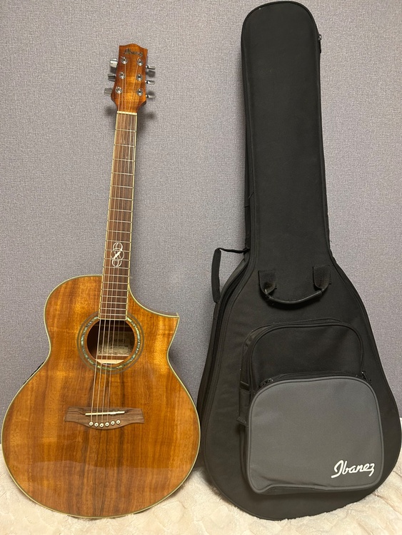 Ibanez ew20koent120（ピアノ・楽器・PA機材）の商品画像 - 査定依頼日：2025年12月10日 - 最高査定価格：22,000円