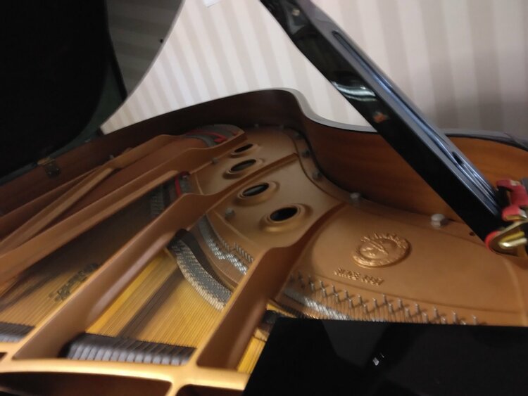 C1L 5911342（ピアノ・楽器・PA機材）の商品画像 - 査定依頼日：2026年1月28日 - 最高査定価格：50,000円