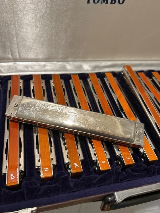 ハーモニカ　トンボ　プロフェッショナル22 12本　あとマイナーも12本（ピアノ・楽器・PA機材）の商品画像 - 査定依頼日：2026年4月23日 - 最高査定価格：22,000円