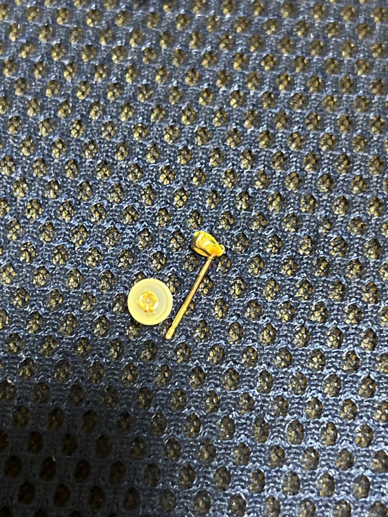 ピアス（金・貴金属）の商品画像 - 査定依頼日：2026年4月8日 - 最高査定価格：6,000円