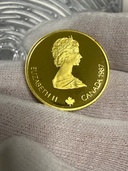 カルガリーオリンピック100ドル金貨（金・貴金属）の商品画像 - 査定依頼日：2026年4月30日 - 最高査定価格：195,000円