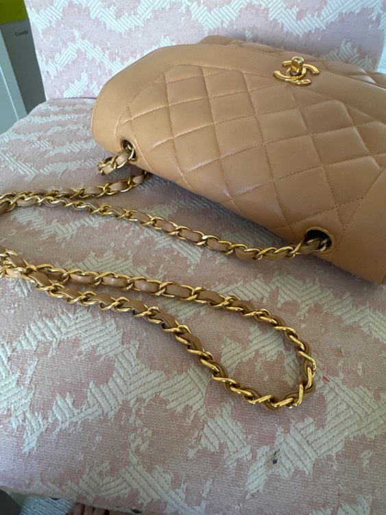 ダイアナ（ブランドバッグ）の商品画像 - 査定依頼日：2025年10月6日 - 最高査定価格：500,000円