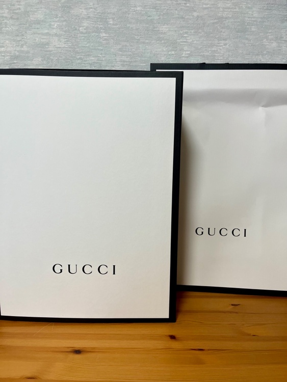 グッチ  （ブランドバッグ）の商品画像 - 査定依頼日：2026年4月4日 - 最高査定価格：38,000円