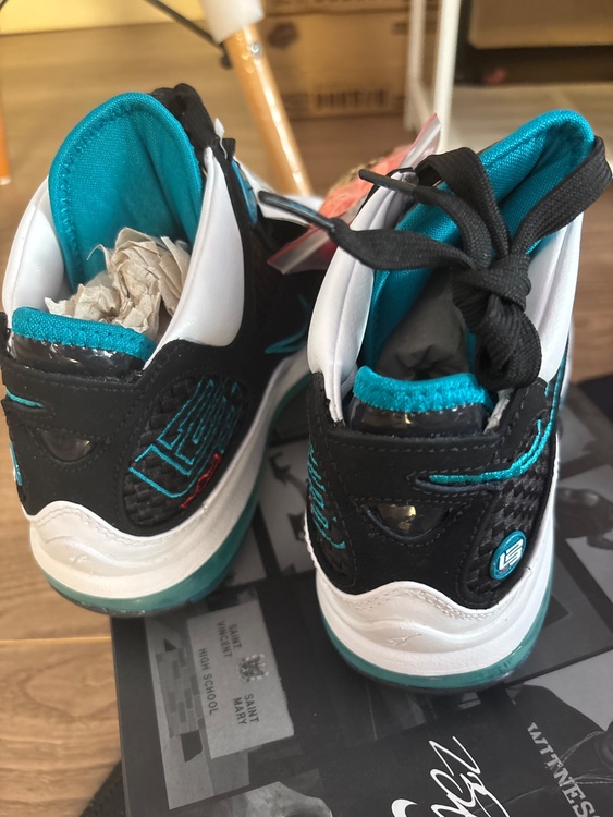 NIKE LEBRON V II QS 25cm（古着・ファッション）の商品画像 - 査定依頼日：2026年8月22日 - 最高査定価格：5,000円