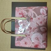 ルイヴィトン カタリーナBB（ブランドバッグ）の商品画像 - 査定依頼日：2026年4月10日 - 最高査定価格：90,000円