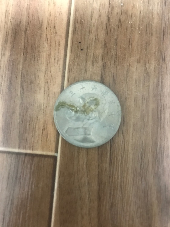 昔のお金（金・貴金属）の商品画像 - 査定依頼日：2026年1月30日 - 最高査定価格：100円