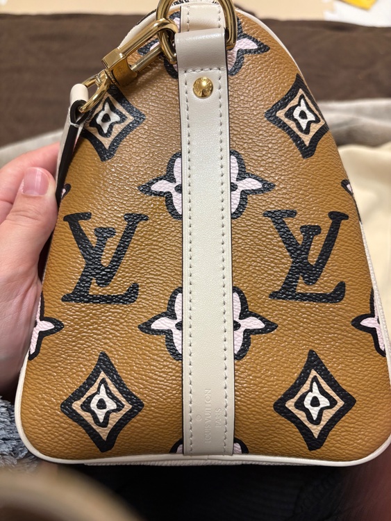 ルイヴィトン スピーディー （ブランドバッグ）の商品画像 - 査定依頼日：2025年11月26日 - 最高査定価格：270,000円