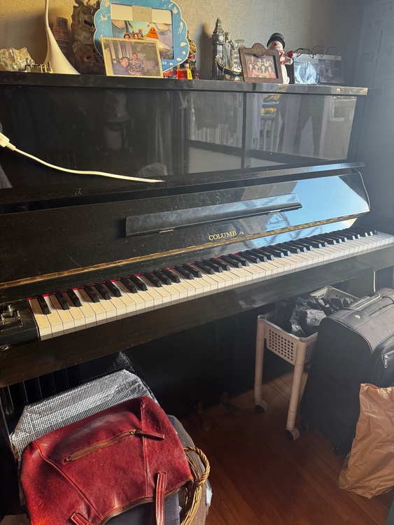 Columbia（ピアノ・楽器・PA機材）の商品画像 - 査定依頼日：2025年12月18日 - 最高査定価格：5,000円