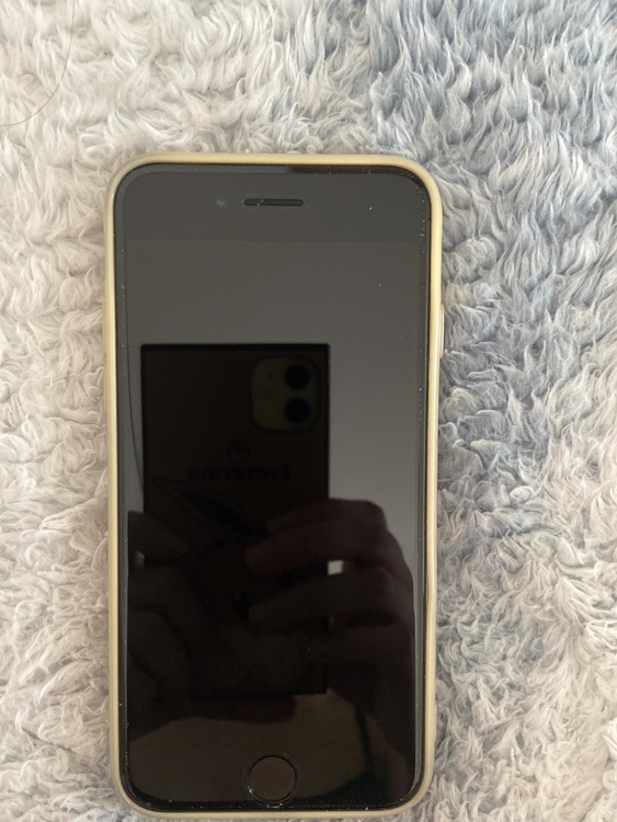 iPhone iPhone SE (第 2 世代) 128GB docomo（スマホ）の商品画像 - 査定依頼日：2026年5月29日 - 最高査定価格：10,000円