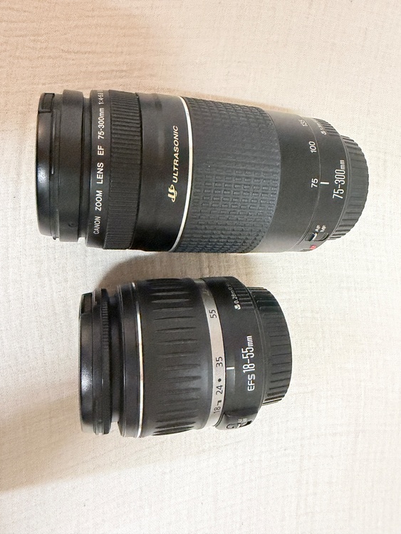 EOS Kiss X8i（カメラ）の商品画像 - 査定依頼日：2026年1月16日 - 最高査定価格：35,000円