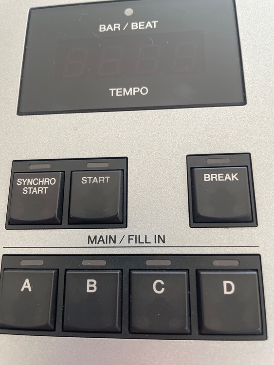 ELS-02C（ピアノ・楽器・PA機材）の商品画像 - 査定依頼日：2026年4月8日 - 最高査定価格：100,000円