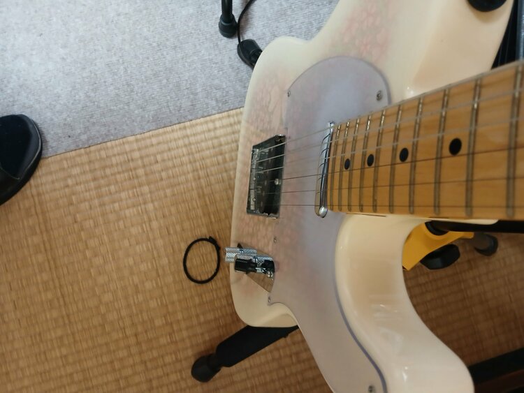 Tokai ate 100M サクラ柄（ピアノ・楽器・PA機材）の商品画像 - 査定依頼日：2025年12月21日 - 最高査定価格：60,000円