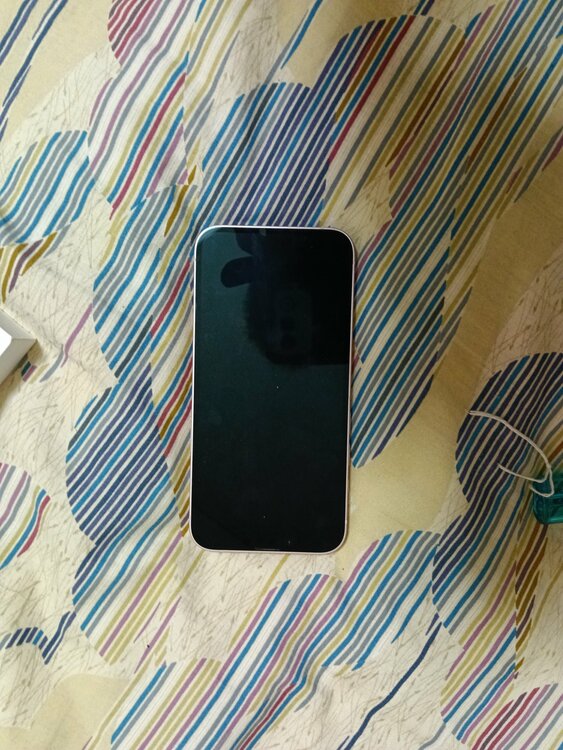 携帯電話本体（スマホ）の商品画像 - 査定依頼日：2026年9月28日 - 最高査定価格：89,000円