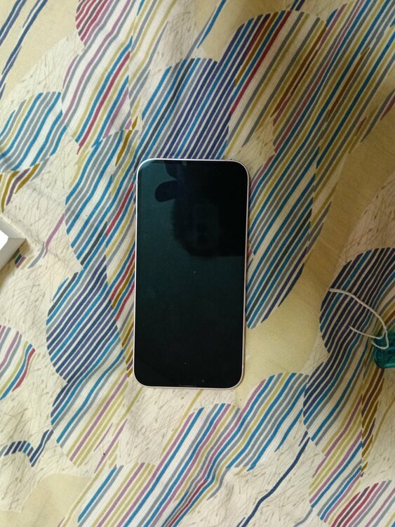 iPhone iPhone 17e 256GB Softbank（スマホ）の商品画像 - 査定依頼日：2026年9月28日 - 最高査定価格：89,000円