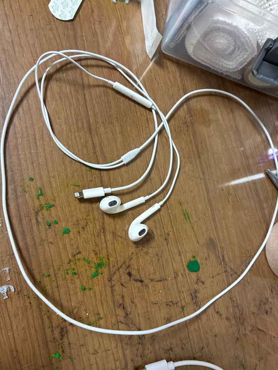 Apple 純正 EarPods with Lightning Connecto（オーディオ・スピーカー）の商品画像 - 査定依頼日：2026年4月22日 - 最高査定価格：100,000円