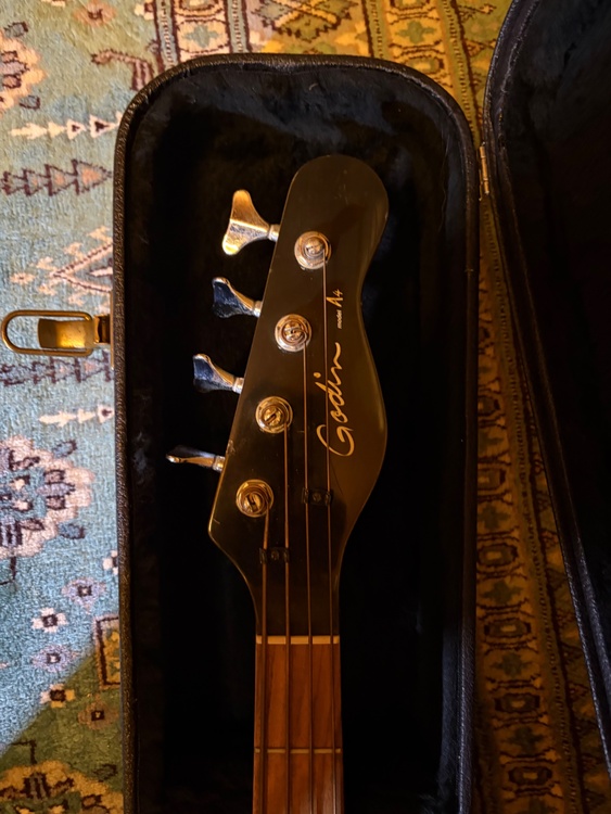 Godin model A4（ピアノ・楽器・PA機材）の商品画像 - 査定依頼日：2026年10月2日 - 最高査定価格：45,000円