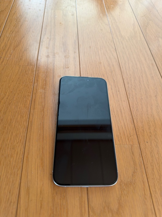 iPhone 15 Pro Max 256GB docomo（スマホ）の商品画像 - 査定依頼日：2026年2月21日 - 最高査定価格：97,000円