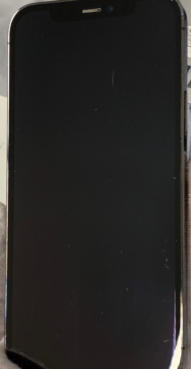 iPhone iPhone 12 Pro 256GB docomo（スマホ）の商品画像 - 査定依頼日：2026年6月17日 - 最高査定価格：15,000円